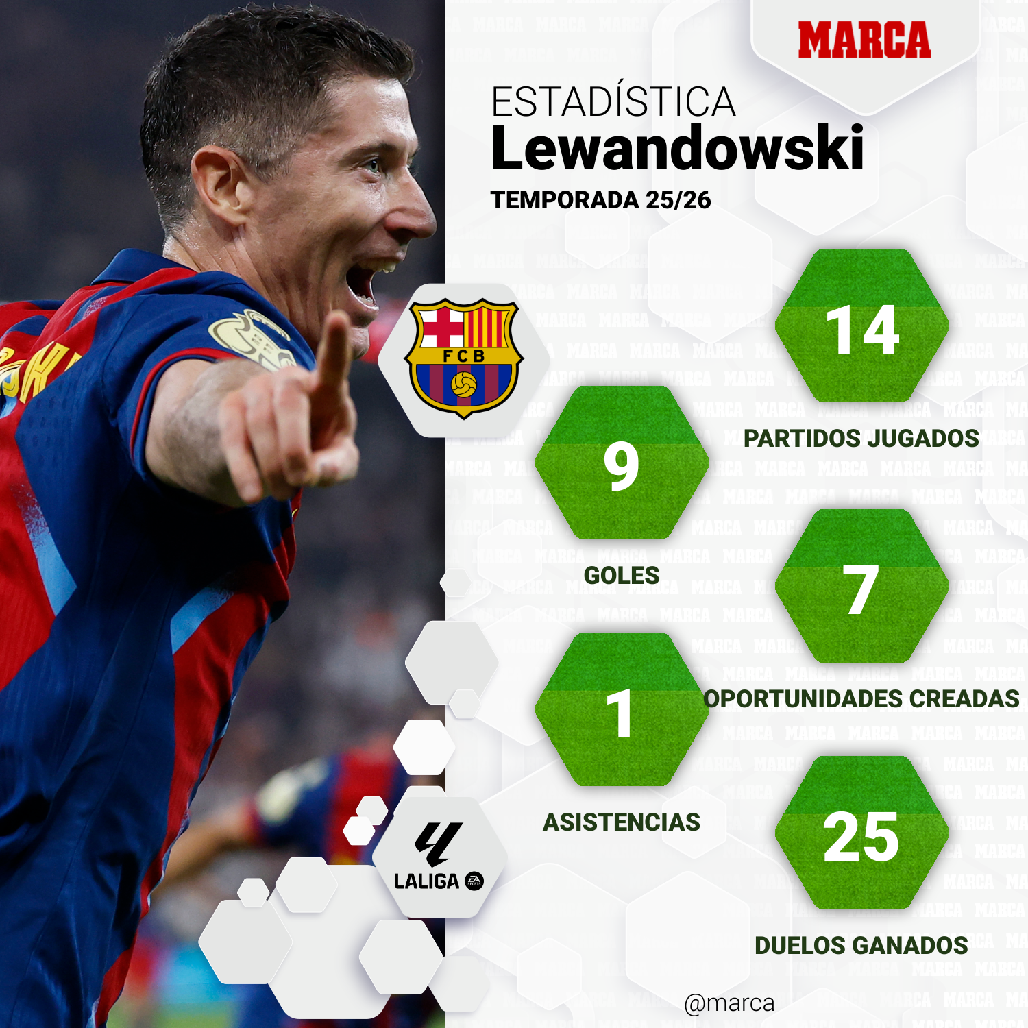 Descripción de la imagen