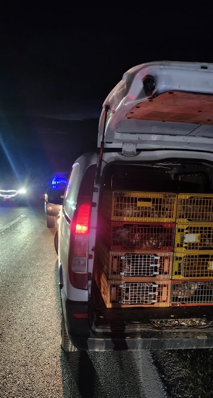 May be an image of ambulance, car and road